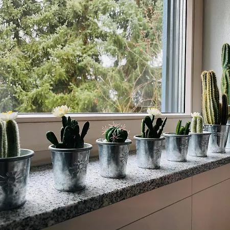 Limes -uebernachten Am Limes- Lägenhet Rainau