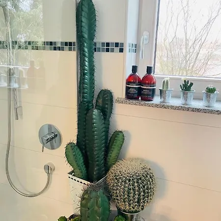 Limes -uebernachten Am Limes- Lägenhet Rainau